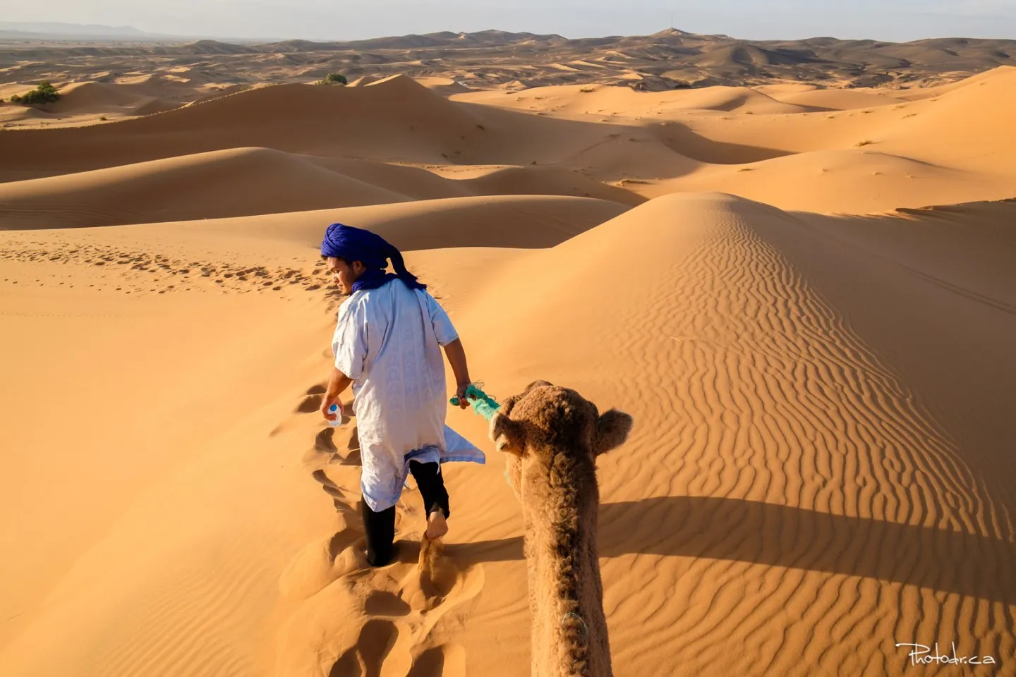 Guide menant un dromadaire sur les dunes de l'Erg Chebbi à Merzouga